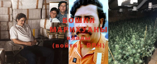 спайс Бородино